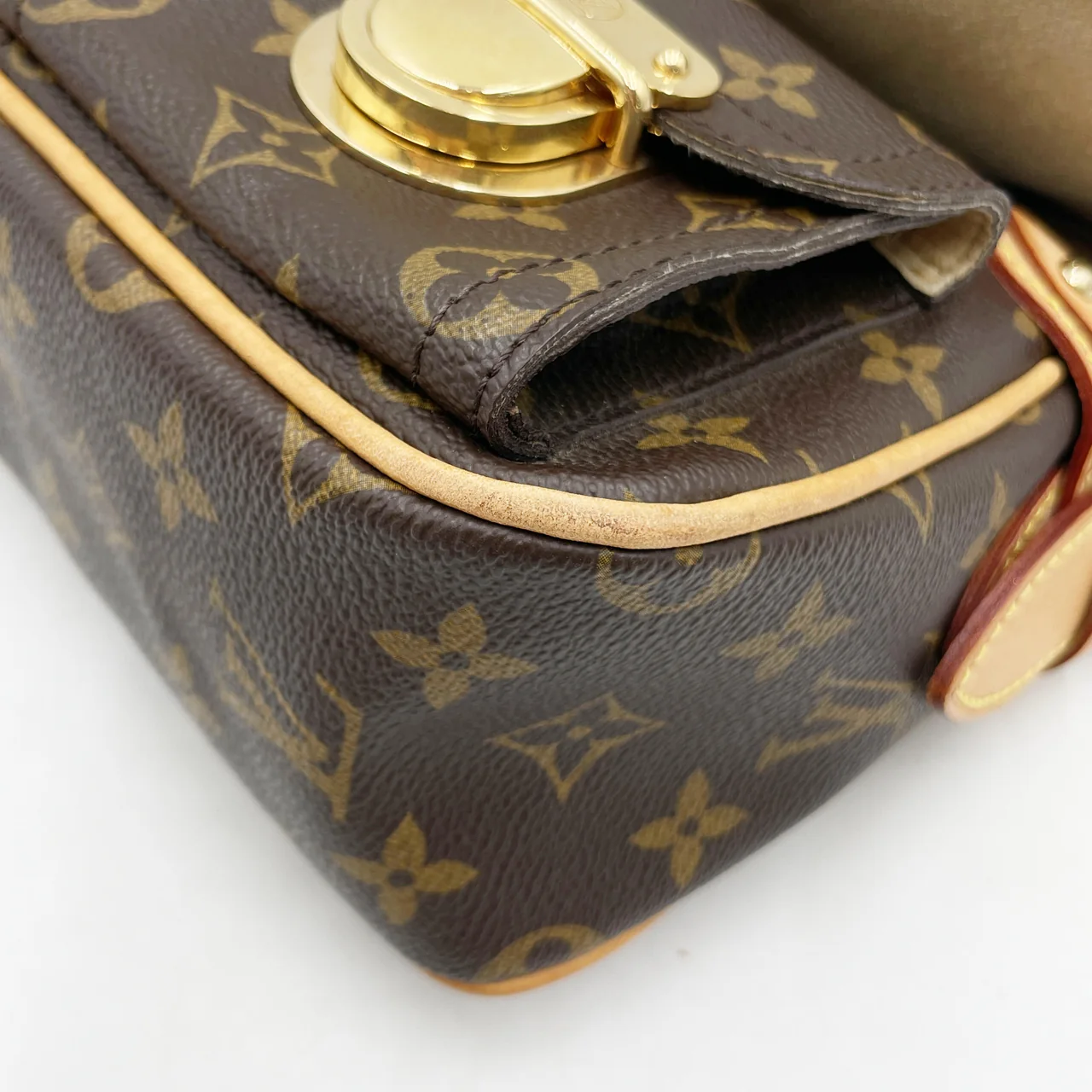 LV MONOGRAM HUDSON PM view 5
