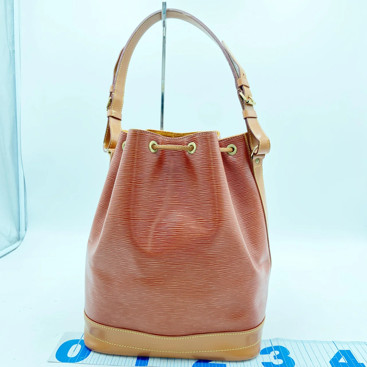 LV EPI NOE (BROWN) view 2