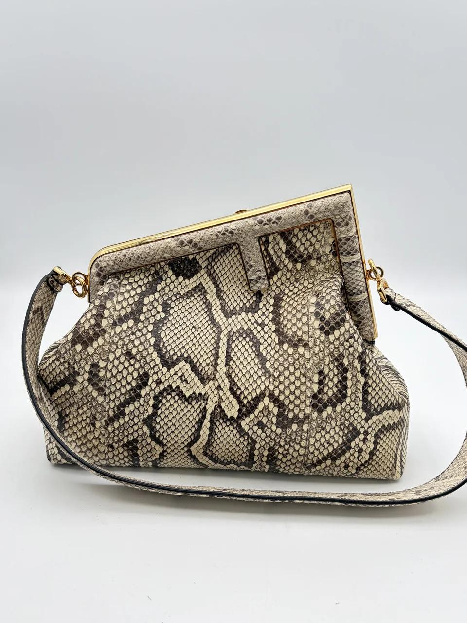 FENDI FIRST PYTHON
