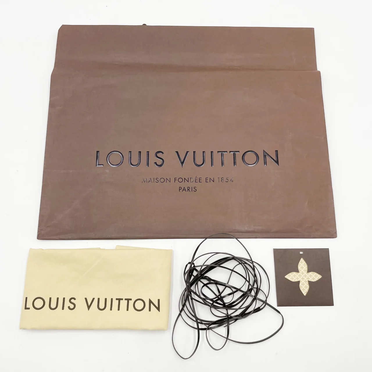 LV DAMIER DISTRICT NM view 13