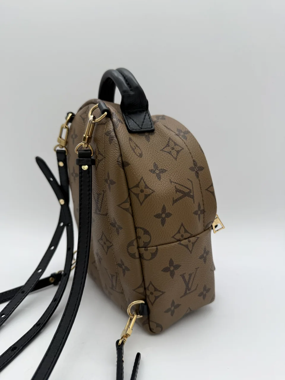 LV MINI PALM SPRINGS view 4