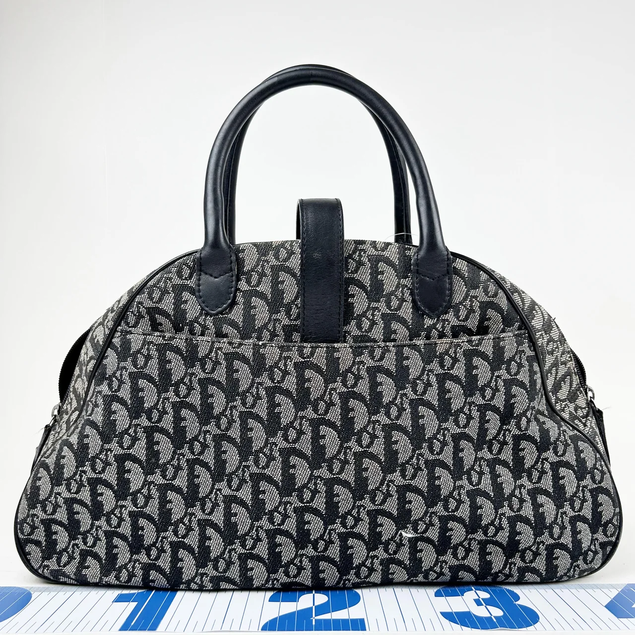 DIOR DOUBLE SADDLE HANDBAG hover