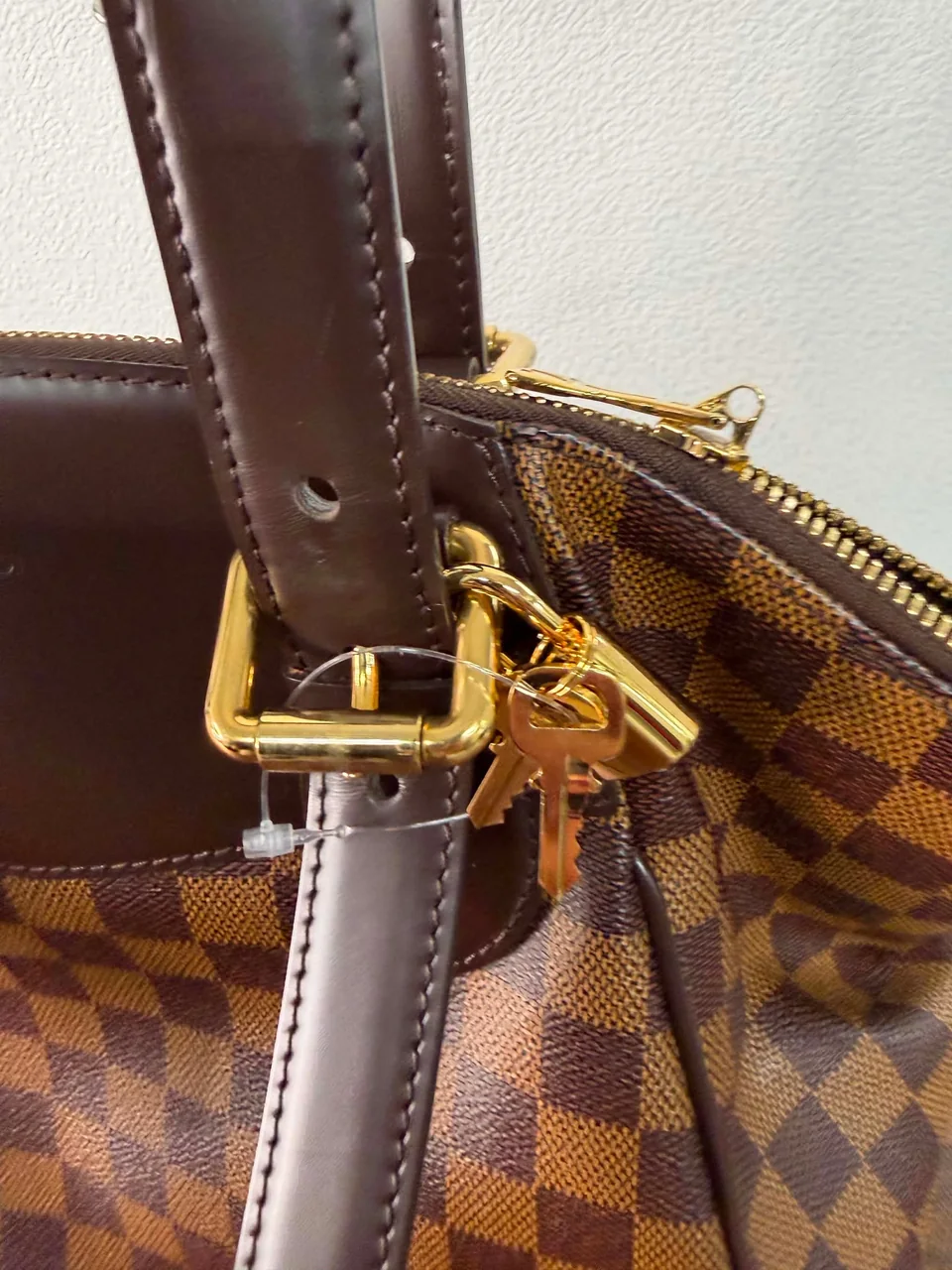 LV HANDBAG view 10