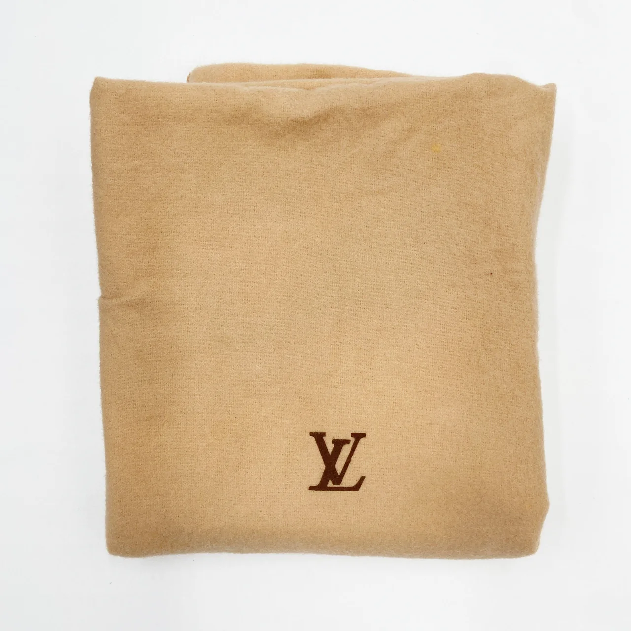 LV EPI CLUNY view 11