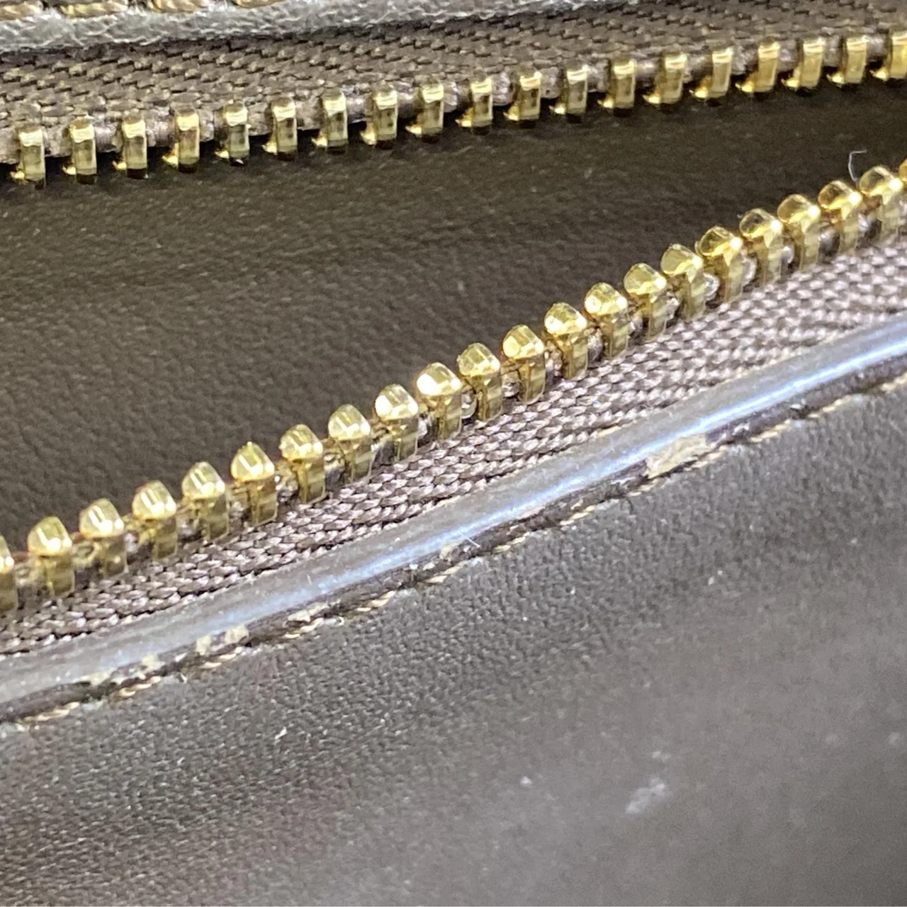 CELINE LIZARD TEEN TRIOMPHE SHOULDER BAG view 14