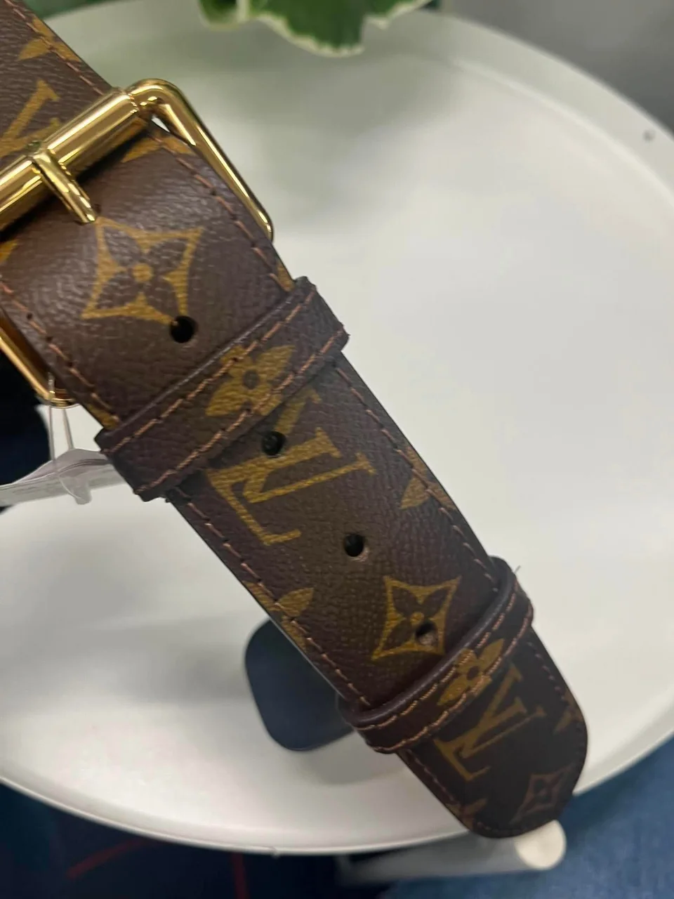 LV Belt Bag view 6