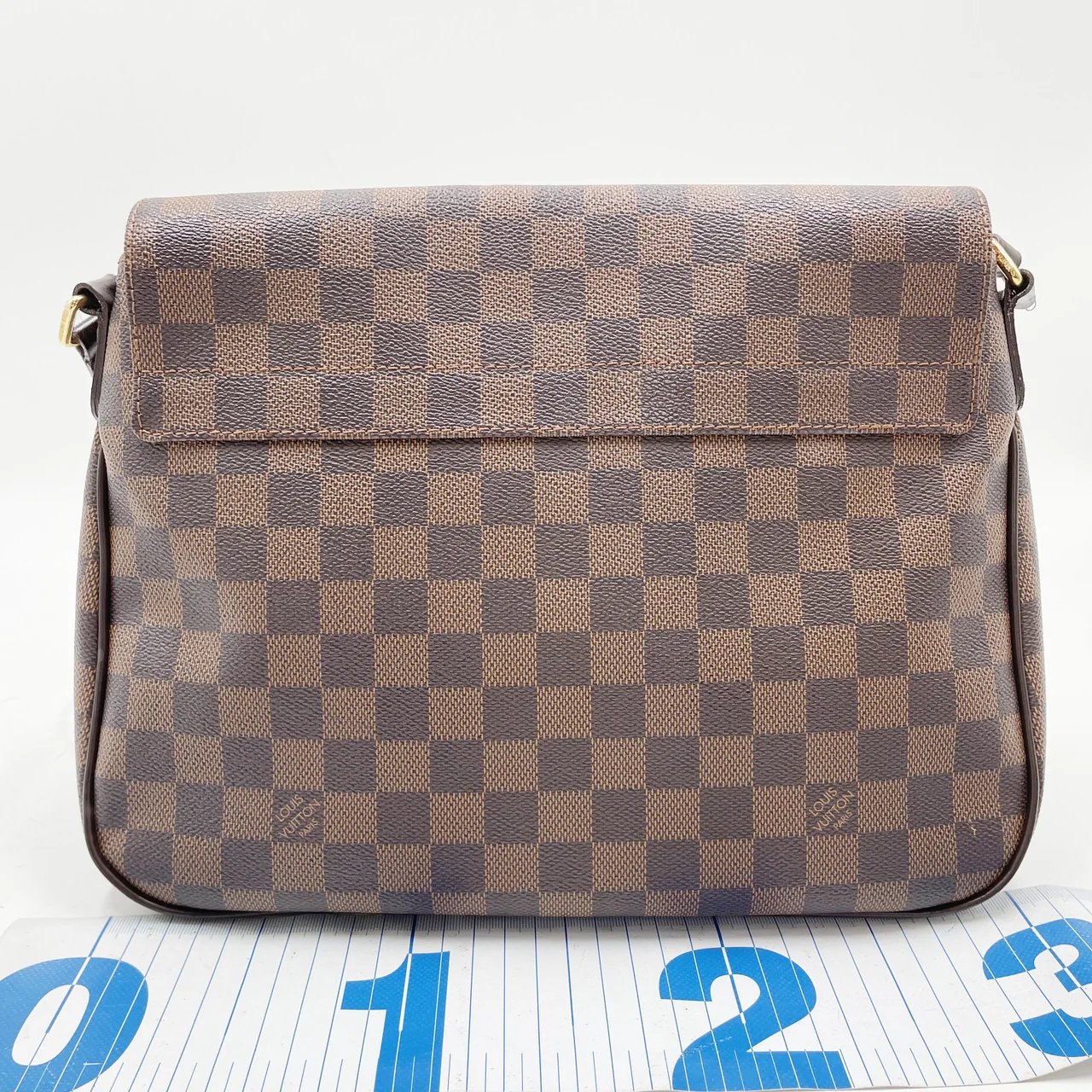 LV DAMIER BUZAS-ROSEBURY view 3