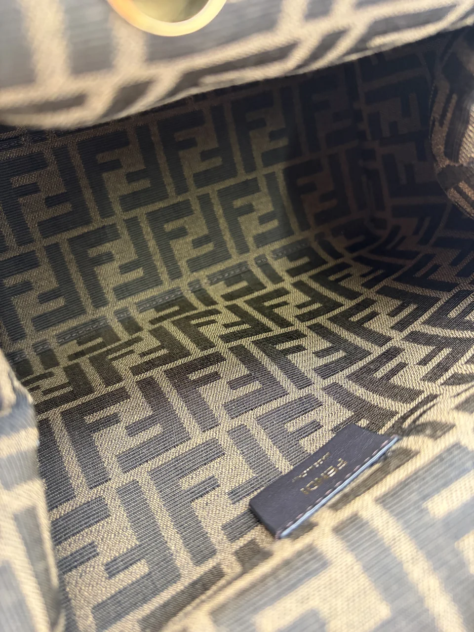 FENDI FIRST PYTHON view 6