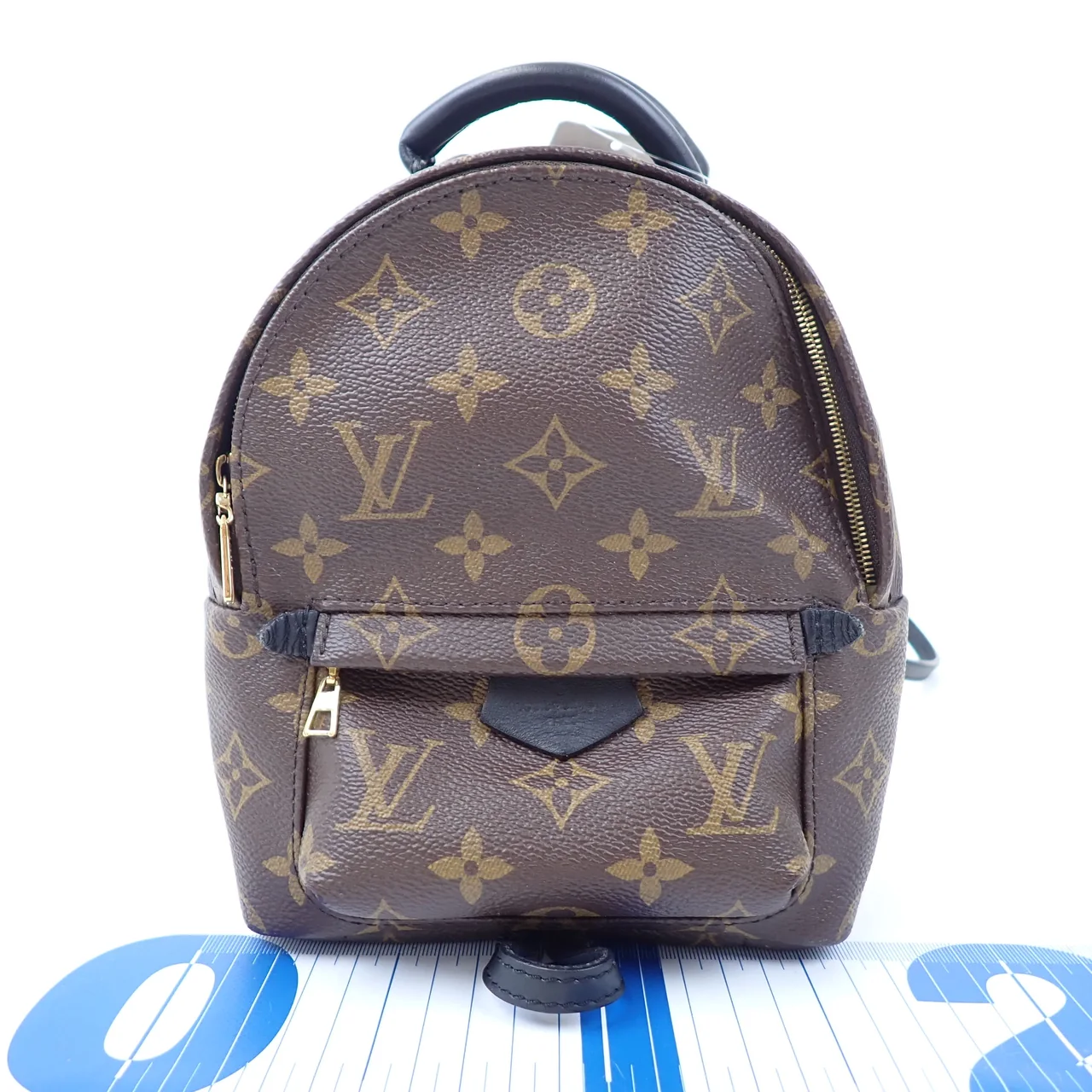 LV MONOGRAM PALM SPRINGS MINI view 10