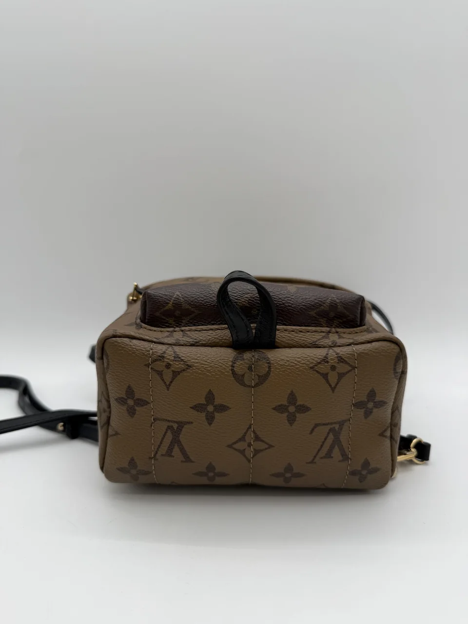 LV MINI PALM SPRINGS view 6